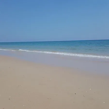 Alta Da Ria House Διαμέρισμα